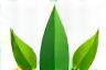 GreenEagle Energy